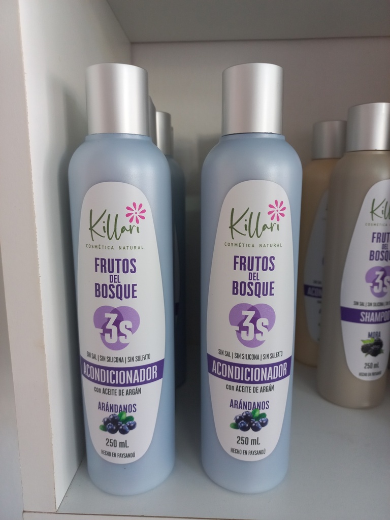 ACONDICIONADOR ARANDANOS 250ML