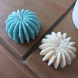 [KL/VEL10] VELA CACTUS KILLARI